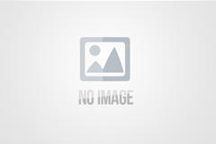 BIM案例|三林镇东明村“城中村”改造B02B-5地块征收安置房项目设计阶段BIM应用